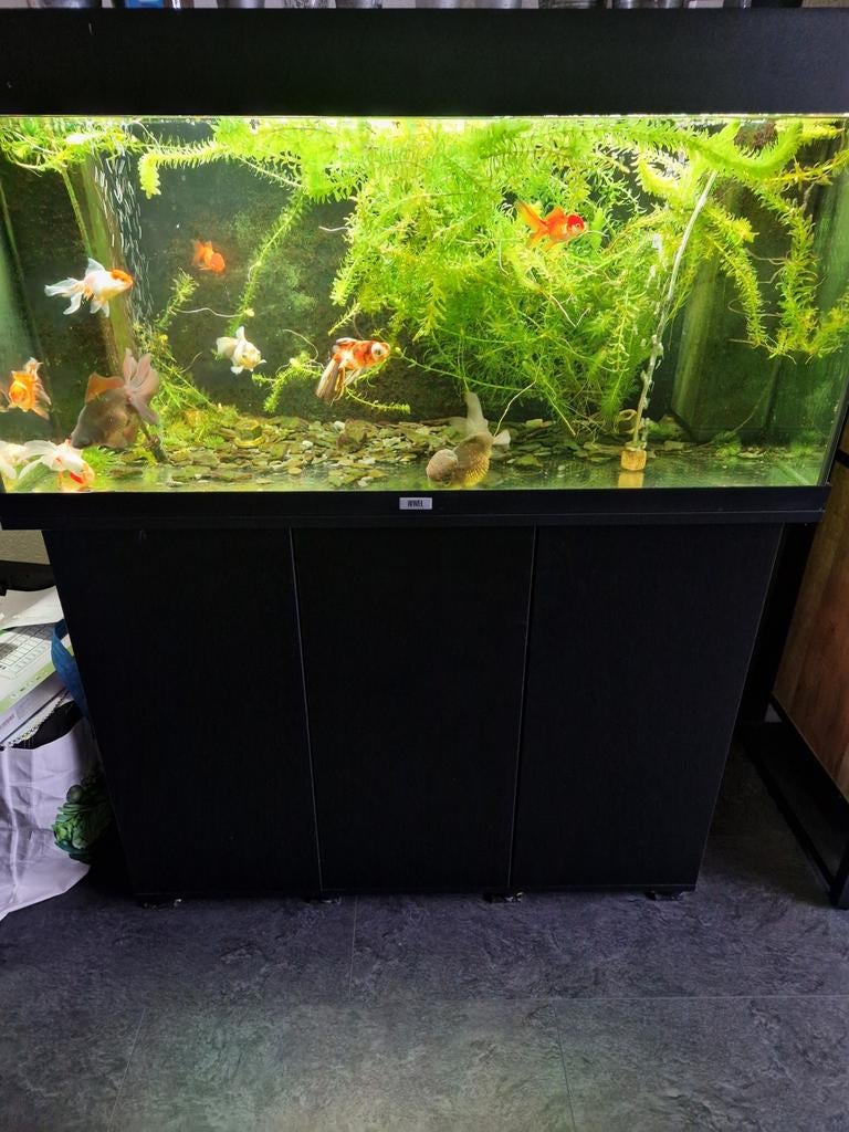 Juwel 180 extra, Ophalen