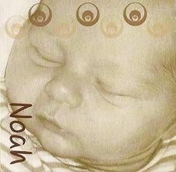 Noah, Ophalen of Verzenden, 2000 tot heden, Geboortekaartje