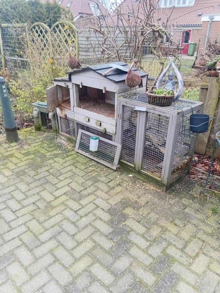 Mooi grote konijnenhok/ kippetjes / kwartels, Dieren en Toebehoren, Knaagdieren en Konijnen | Hokken en Kooien, Ophalen, 110 cm of meer