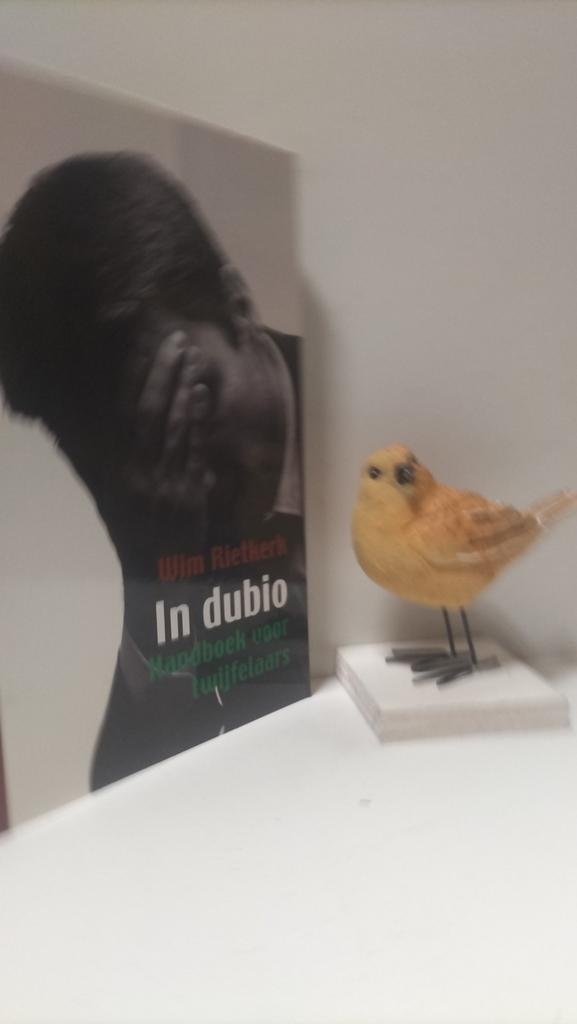 Rietkerk, Wim; In dubio (Handboek voor twijfelaars), Ophalen of Verzenden, Gelezen, Christendom | Protestants