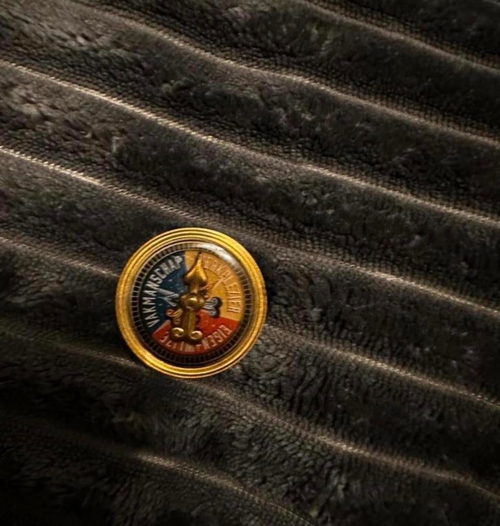 Efteling Vakmanschap Kompas Pin - Zeldzaam!, Ophalen of Verzenden, Gebruikt, Merk, Speldje of Pin