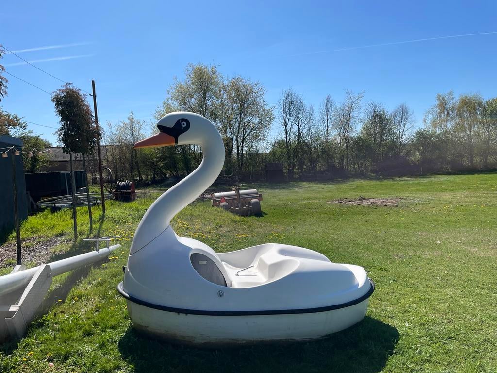 Leuke zwaan waterfiets voor 2 personen, Ophalen of Verzenden, Gebruikt