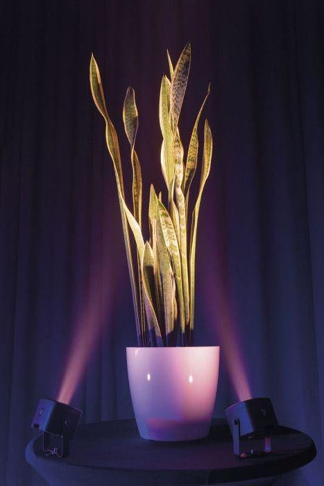 Super Sale! 6x Showtec EventDOT 15 Q4, Ophalen, Nieuw, Licht