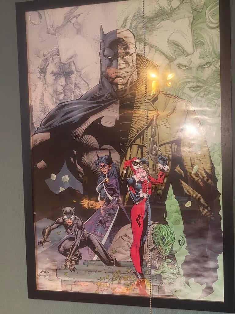 DC en Marvel Posters met kunststof glas, Verzamelen, Ophalen, Rechthoekig Staand, Met lijst, Zo goed als nieuw