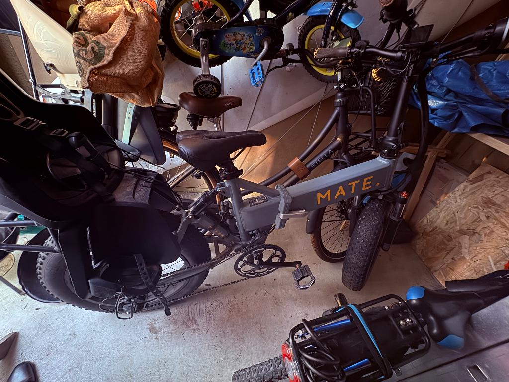 Mate X 250w fiets, Ophalen, Gebruikt, 50 km per accu of meer, Overige merken