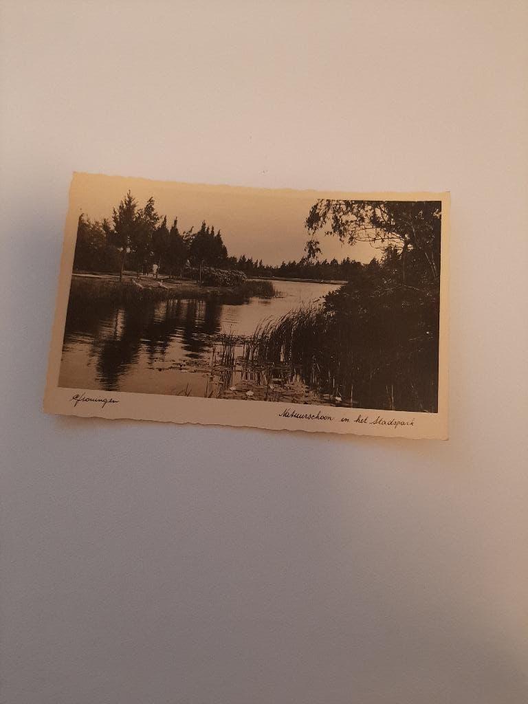 Groningen natuurschoon in het stadspark, Verzamelen, Verzenden, Voor 1920, Ongelopen, Groningen