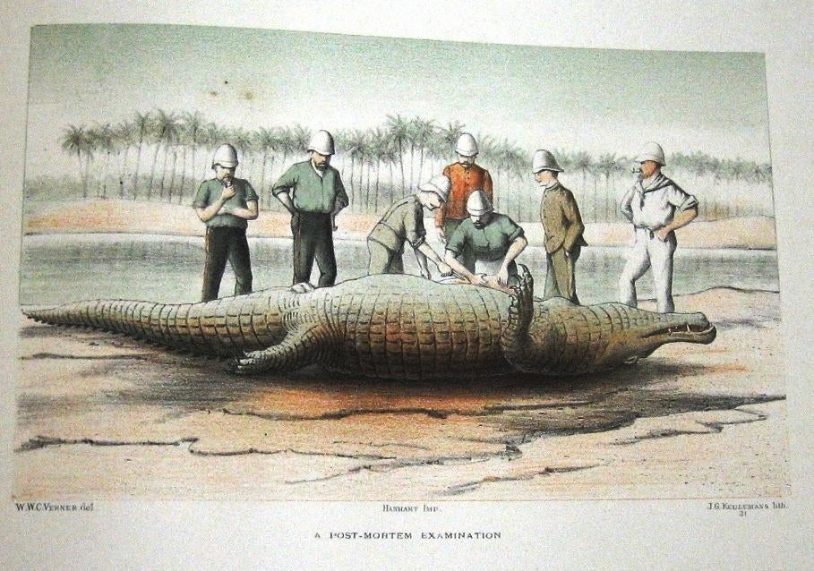 Sketches in the Soudan 1886 Verner Soedan Afrika, Ophalen of Verzenden