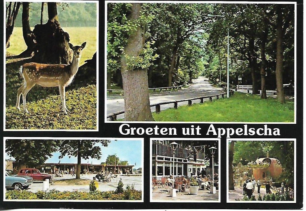 Appelscha- -5-luik, de Roggeberg., Verzenden, 1980 tot heden, Gelopen, Friesland