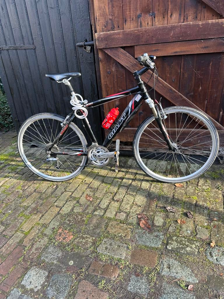 Gisnt sportfiets, Ophalen of Verzenden, Gebruikt, Meer dan 20 versnellingen, Giant