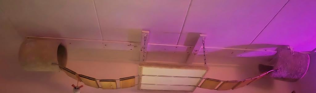 Katten meubel/loopbaan, Ophalen