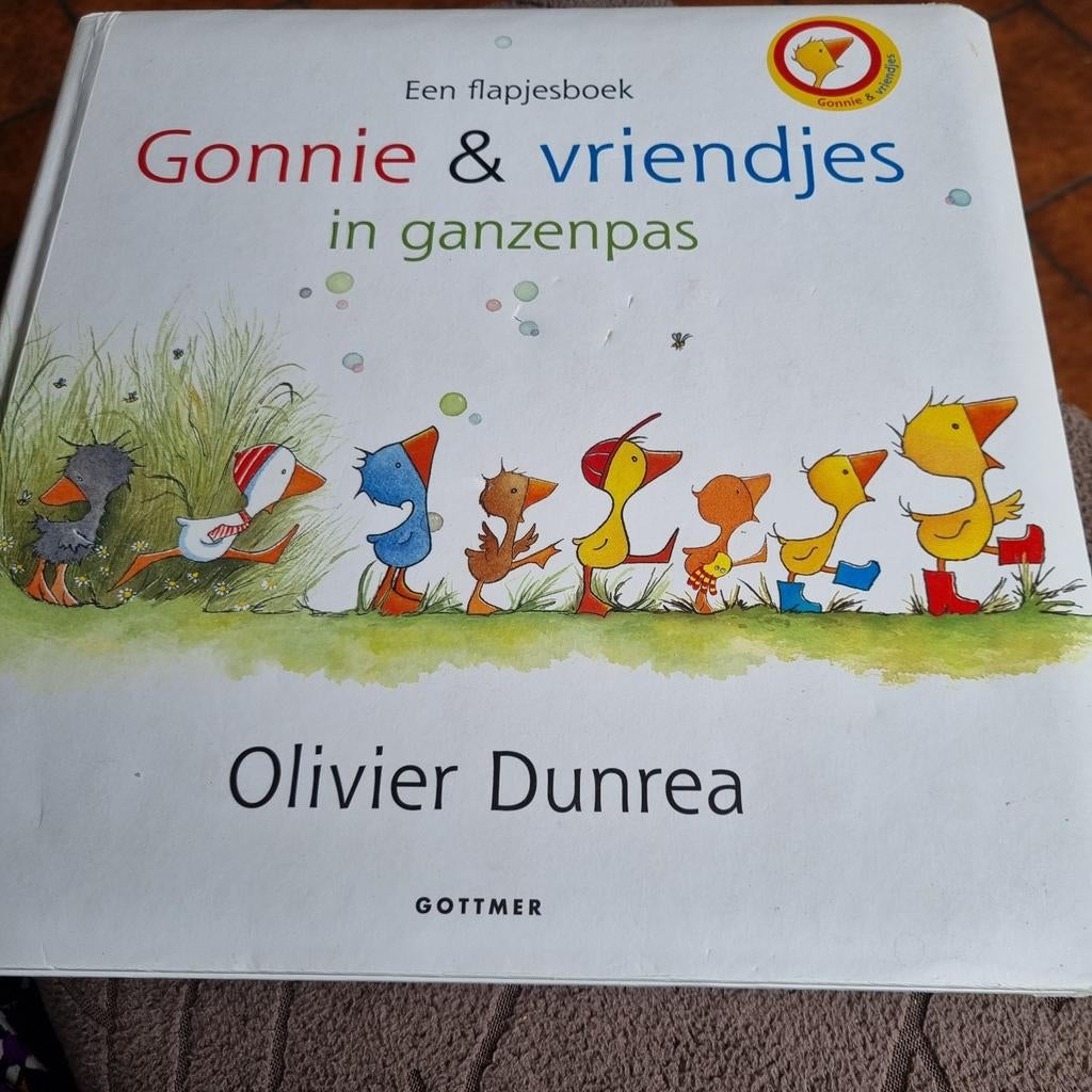 Gonnie & vriendjes in ganzenpas - Flapjesboek, Boeken, Ophalen of Verzenden, Gelezen, Olivier Dunrea, Uitklap-, Voel- of Ontdekboek