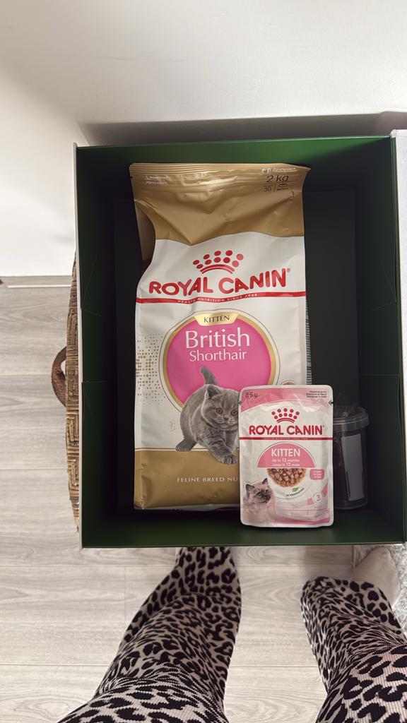 Royal canin kitten voer, Ophalen of Verzenden, Kat