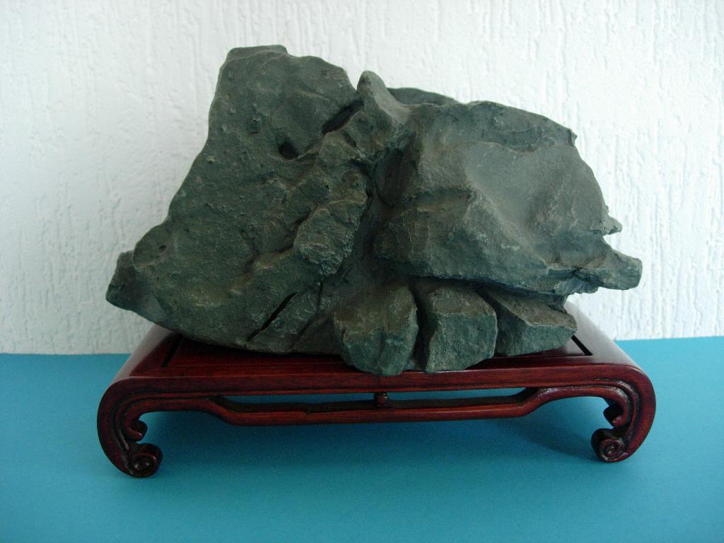 Bonsai Pot Rotsblok Nieuw ! Hard PVC Zeldzaam ! € 19,-, Bloeit niet, Verzenden, Halfschaduw, Overige soorten