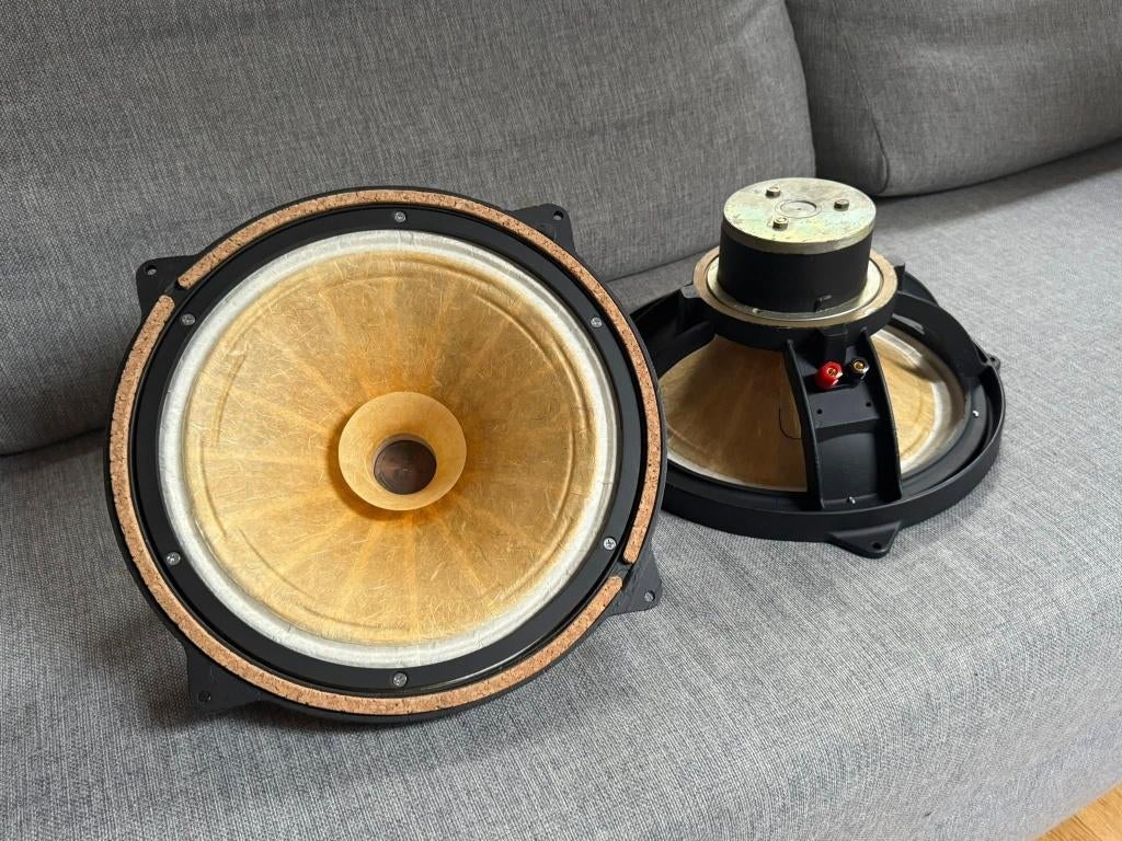 12" alnico fullrange  luidsprekers, Ophalen of Verzenden, Minder dan 60 watt, Front, Rear of Stereo speakers, Overige merken