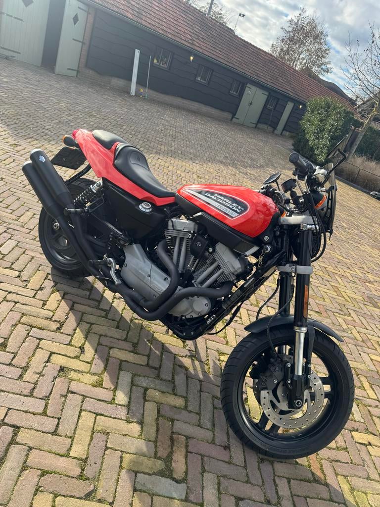 Harley Davidson XR1200 - Sportieve naked bike, 2 cilinders, Motorrijbewijs A, Particulier, Meer dan 35 kW