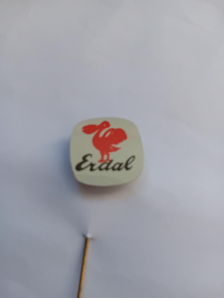 Pin - ERDAL - Amersfoort, Ophalen of Verzenden, Zo goed als nieuw, Merk, Speldje of Pin