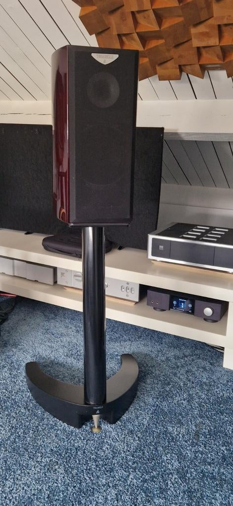 Triangle Megallan Duetto monitoren, Audio, Tv en Foto, Luidsprekers, Zo goed als nieuw, 120 watt of meer, Front, Rear of Stereo speakers