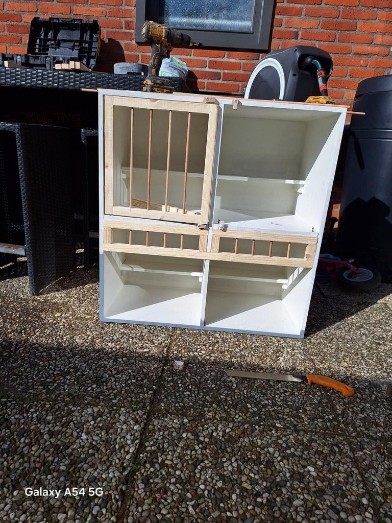 Duivenhok, Mannelijk, Postduif