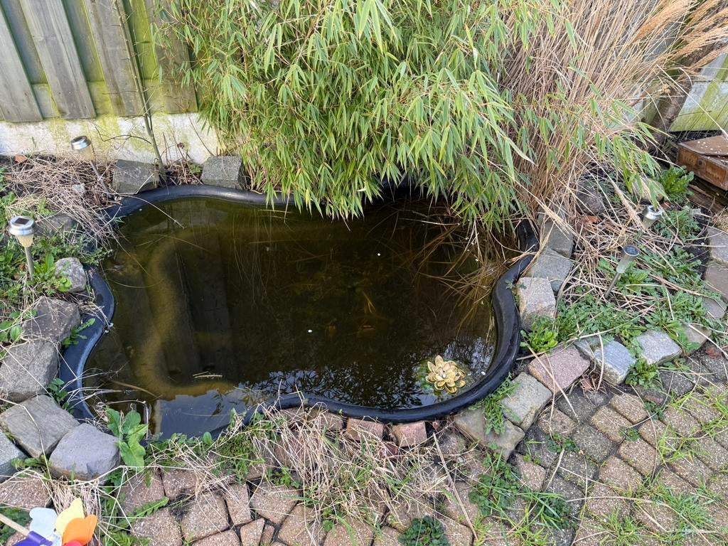 Vijver / Voorgevormde vijver / Tuinvijver, Tuin en Terras, Vijvers, Ophalen, Gebruikt