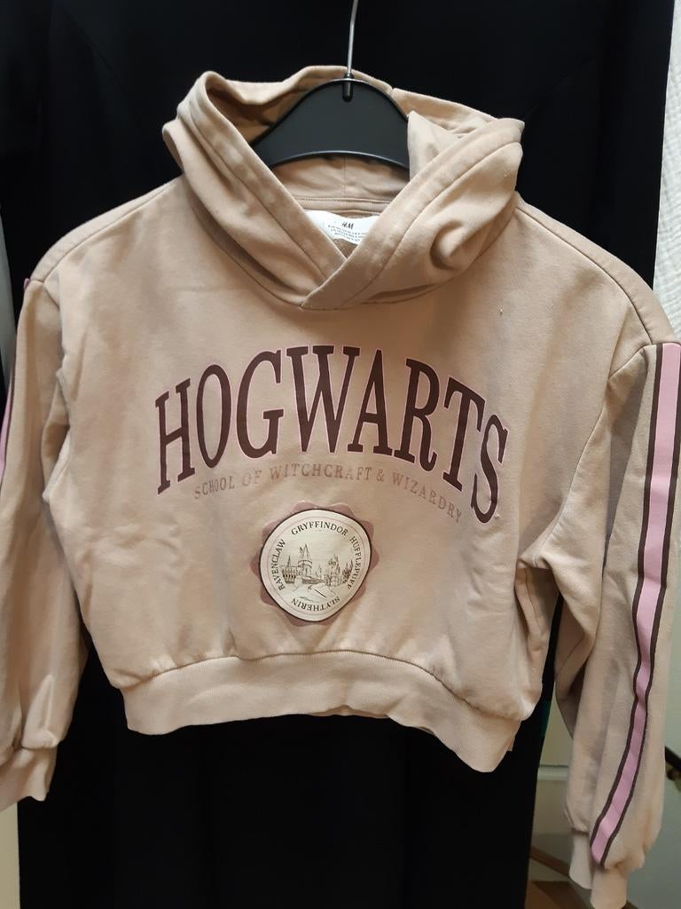 HOODY HARRY POTTER MAAT 140 ALS NIEUW, Kinderen en Baby's, Ophalen of Verzenden, Zo goed als nieuw, Meisje, Trui of Vest