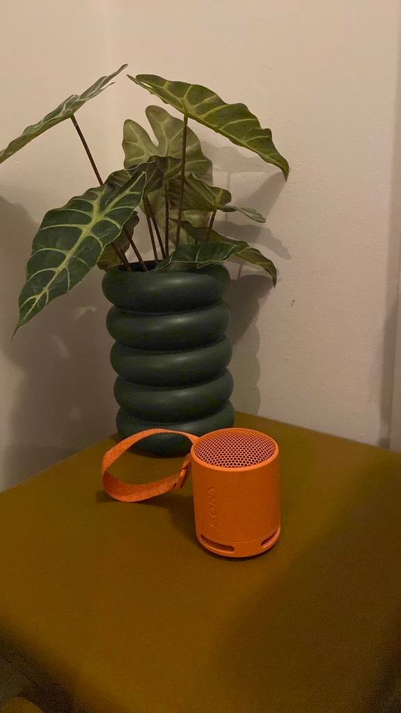 Sony box/luidspreker | oranje SRS-XB100, Ophalen, Overige typen, Zo goed als nieuw, Sony