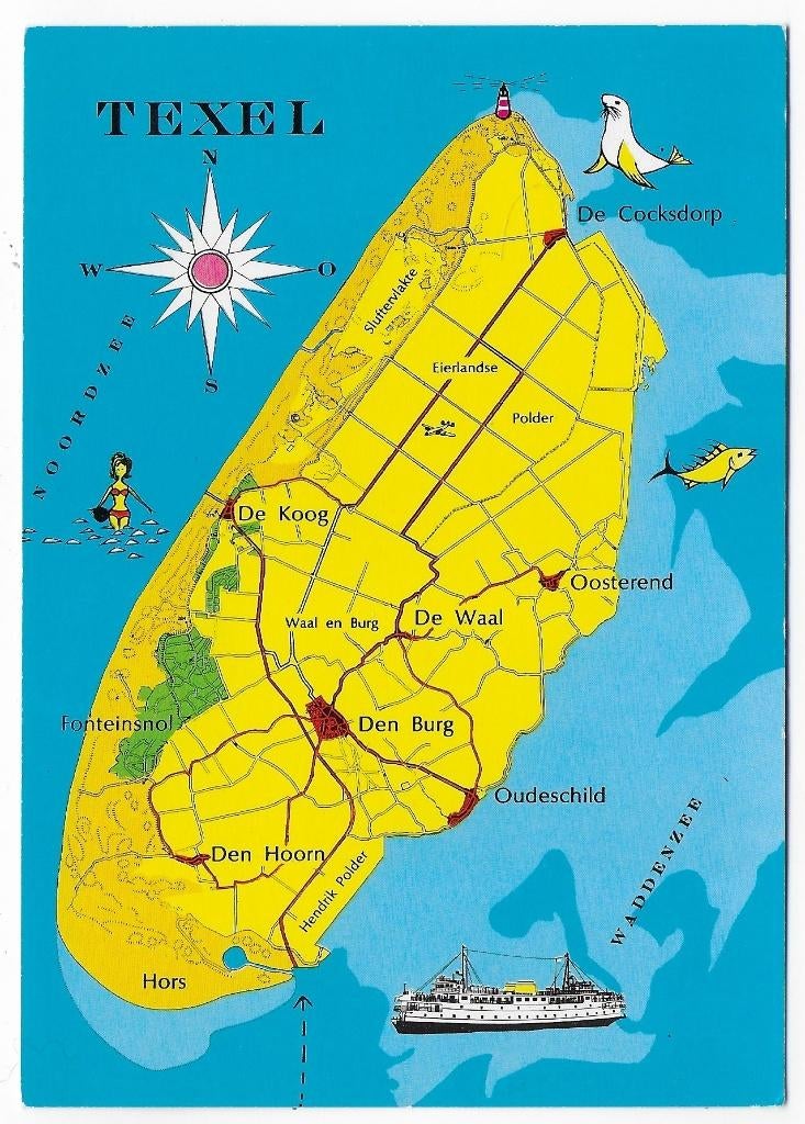 Texel ongelopen Ansichtkaart ( B2645 ), Verzenden, 1980 tot heden, Gelopen, Waddeneilanden