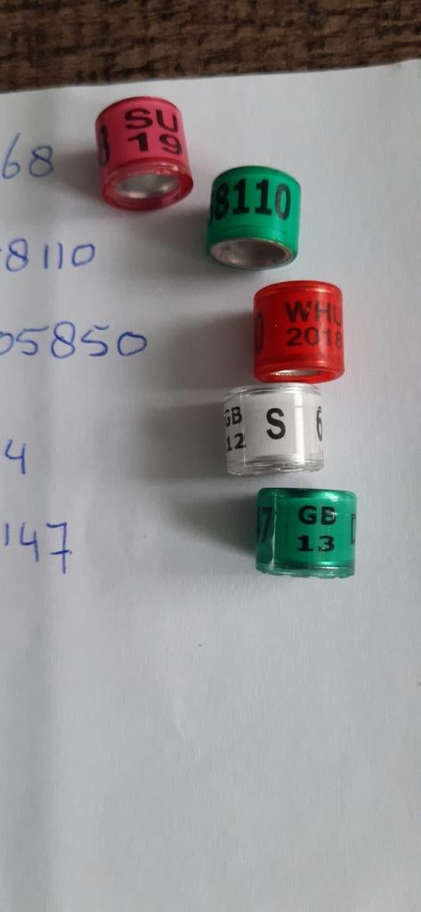 Duivenringen, Dieren en Toebehoren, Meerdere dieren, Postduif