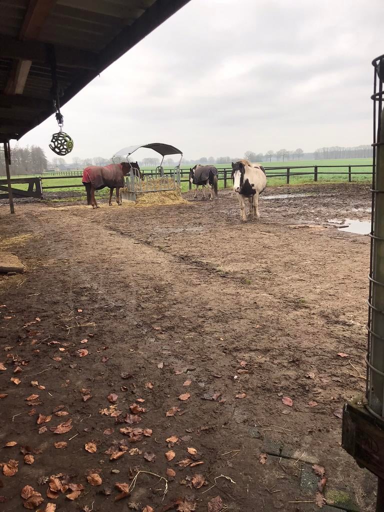 Pensioen/pensionstalling aangeboden in Wesepe, Stalling, 1 paard of pony