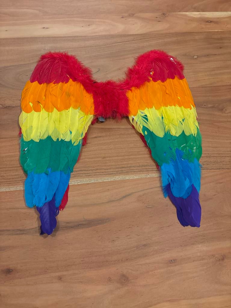 Regenboog Vleugels Kostuum Accessoire, Ophalen of Verzenden, Zo goed als nieuw, Carnaval, Accessoires