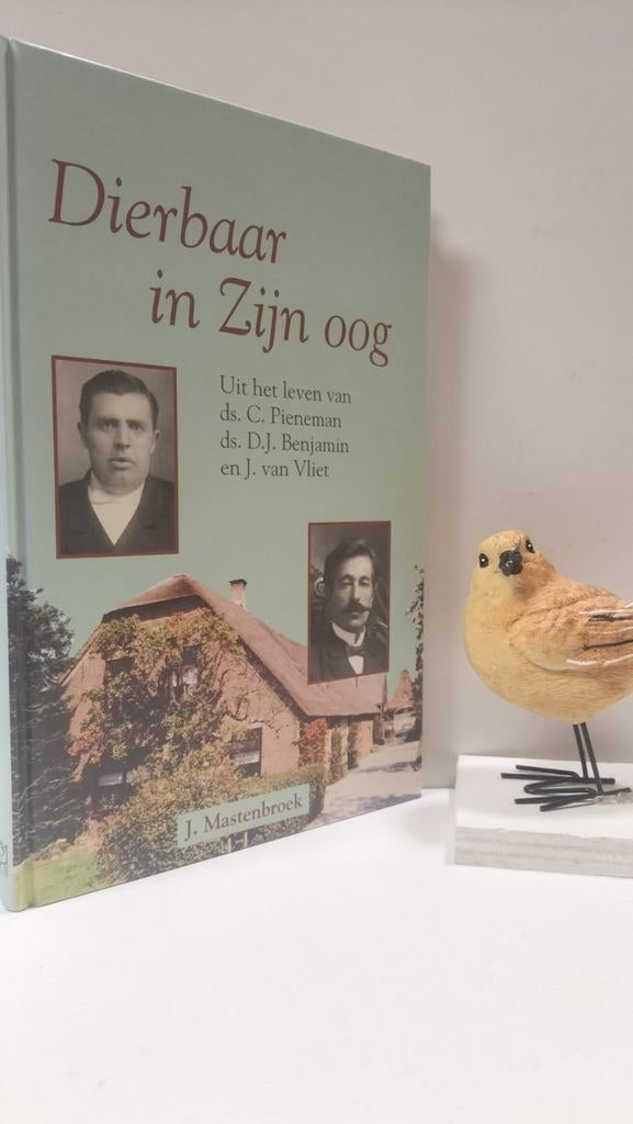 Mastenbroek, J. ; Dierbaar in Zijn oog, Ophalen of Verzenden, Gelezen, Christendom | Protestants