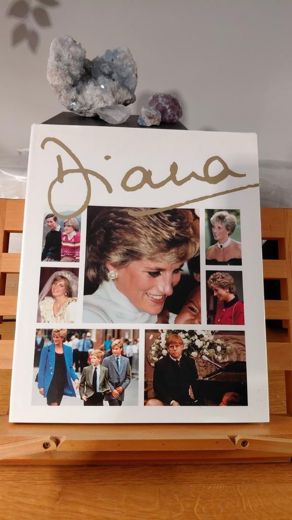 Diana - Fotoboek, Ophalen of Verzenden, Zo goed als nieuw