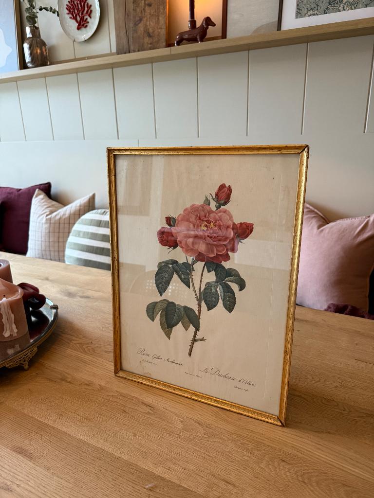 Brocante schilderij, Antiek en Kunst, Kunst | Schilderijen | Klassiek, Ophalen