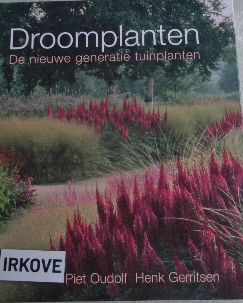 DROOMPLANTEN * Piet Oudolf / Henk Gerritsen *, Boeken, Verzenden, Zo goed als nieuw, Piet Oudolf / Henk Gerritsen, Tuinontwerpen