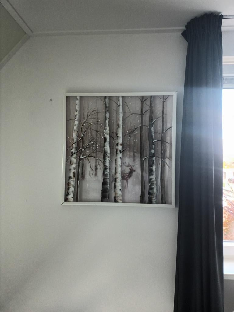 Te koop mooie schilderijen in Steenwijk, Ophalen, Zo goed als nieuw, Minder dan 100 cm