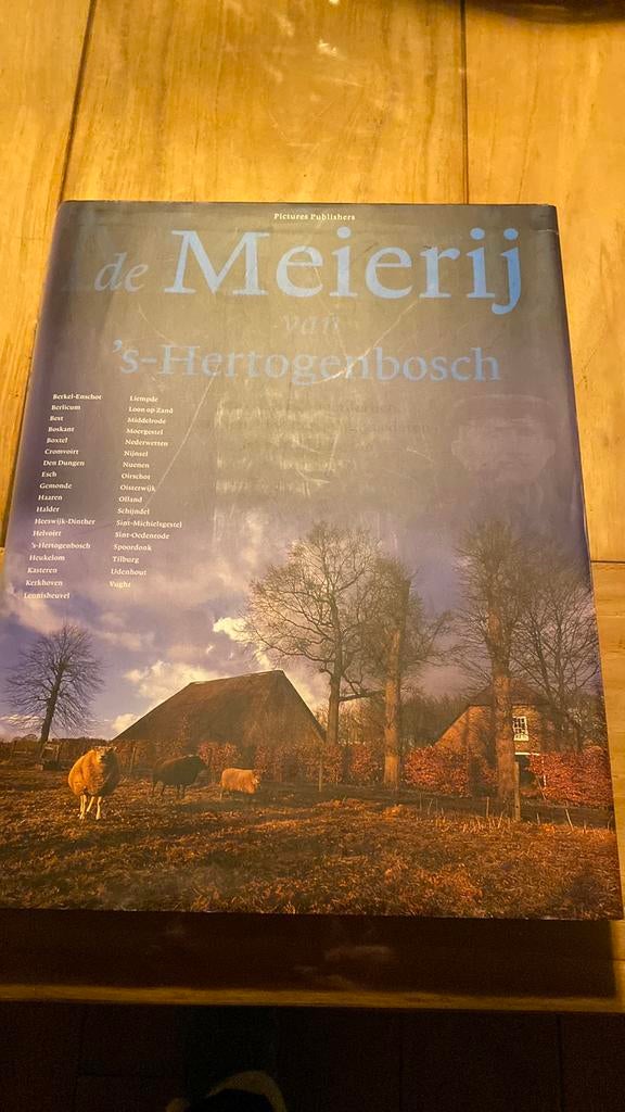 De Meierij van Den Bosch, Boeken, Geschiedenis | Stad en Regio, Ophalen of Verzenden, Zo goed als nieuw