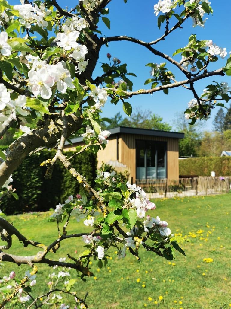 Chalet Gritter 12,5 x 4 meter In de Stokkum Achterhoek, Tot en met 6
