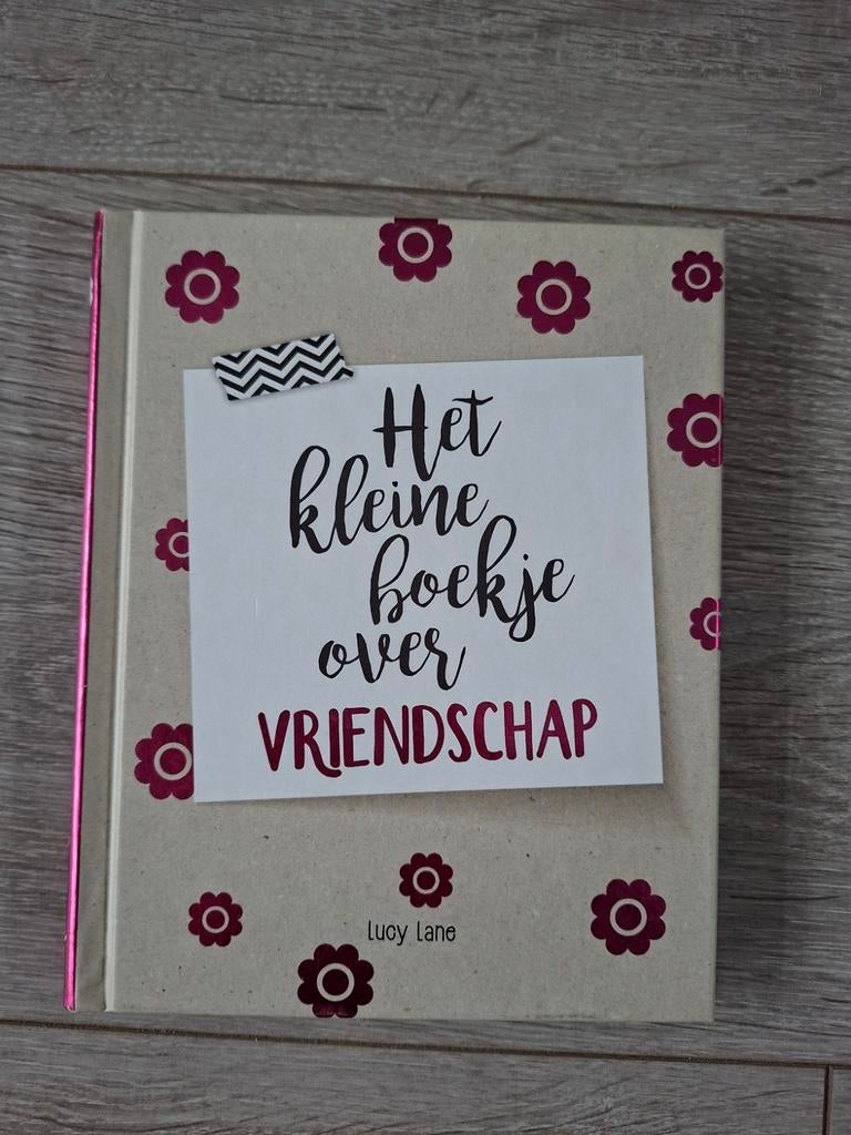 Lucy Lane - Het kleine boekje over vriendschap, Ophalen of Verzenden, Zo goed als nieuw, Lucy Lane