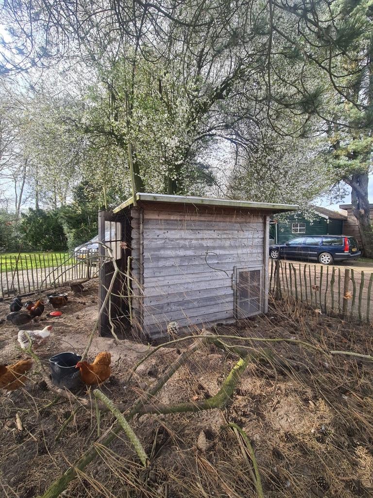 Kippenhok met legkast, Dieren en Toebehoren, Vogels | Hokken en Kooien, Ophalen, Hout, Overige typen
