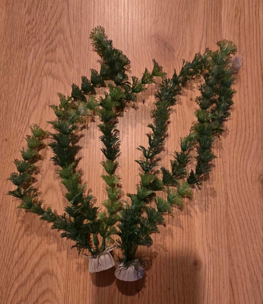 2 nep plantjes aquarium, Dieren en Toebehoren, Ophalen, Plant(en), Steen of Hout