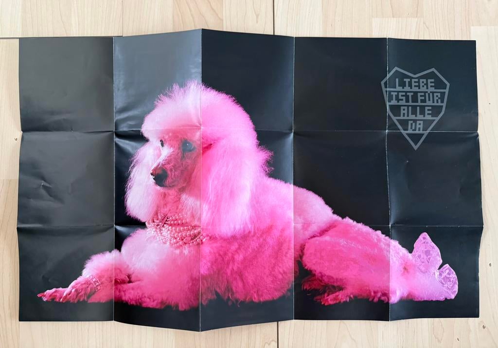 Rammstein. Pussy. Poster., Ophalen of Verzenden, Zo goed als nieuw, Overige onderwerpen