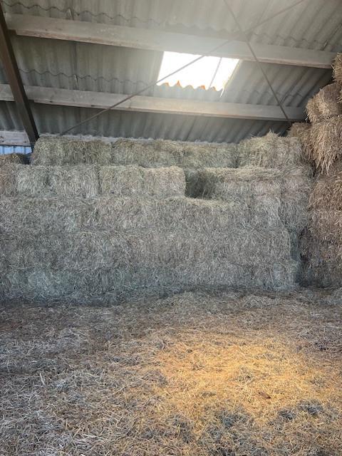 Hooi, Dieren en Toebehoren, Ophalen, Vee