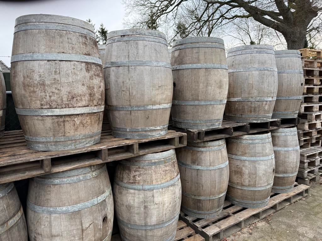 Dé echte groothandel in regentonnen/wijnvaten.€49,00., Ophalen, Gebruikt, 150 liter of meer, Hout