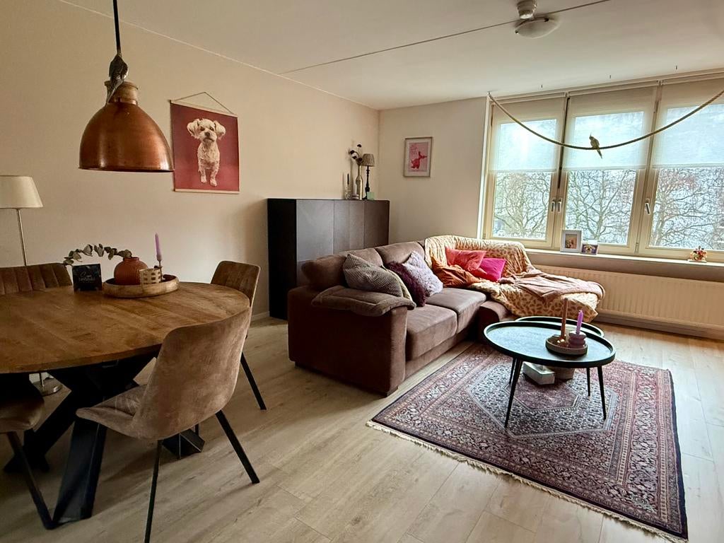 Gouden mandje aangeboden voor katje, Dieren en Toebehoren, Poes