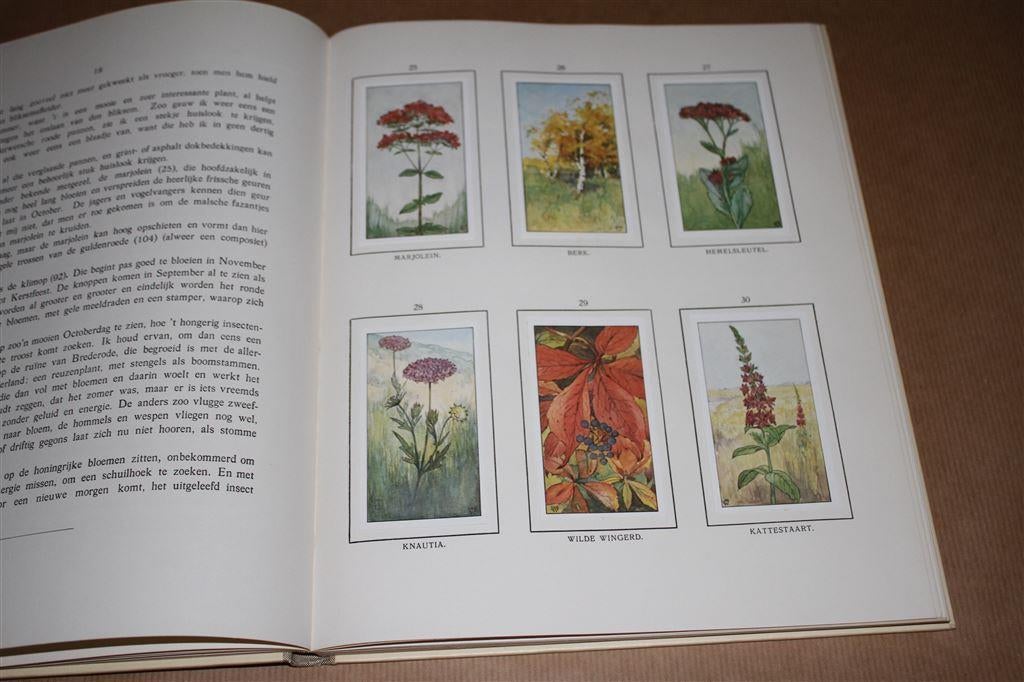 Herfst. Jac. P. Thijsse. Compleet plaatjesalbum., Ophalen of Verzenden, Gelezen