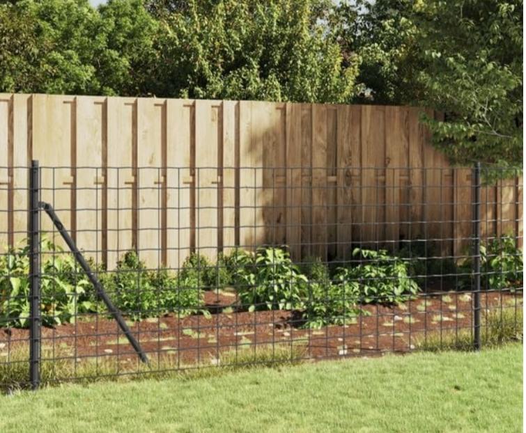 AANBIEDING | Draadgaashek incl. palen 25 M staal! GRTS BEZOR, Tuin en Terras, Gaas en Draad, Verzenden, Nieuw, Minder dan 10 meter