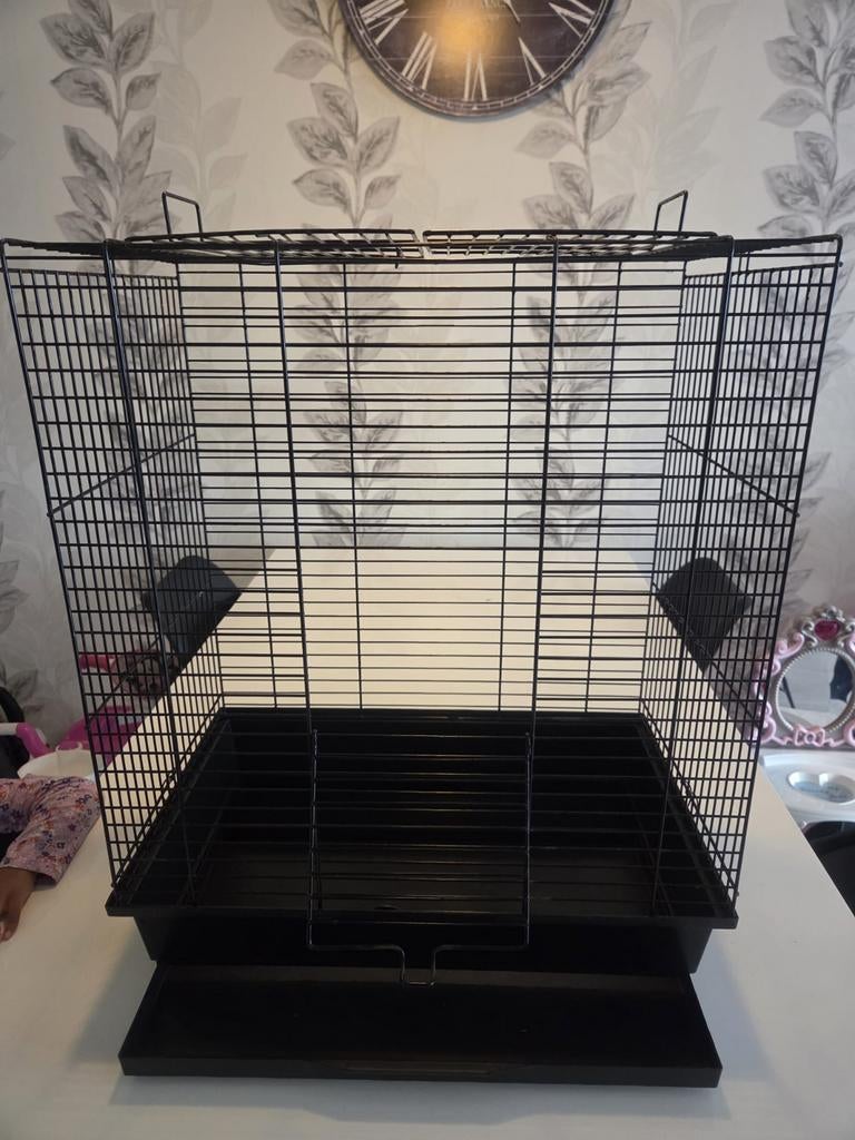 Vogelkooi [vogels en kleine papegaaiachtigen], Dieren en Toebehoren, Vogels | Hokken en Kooien, Ophalen