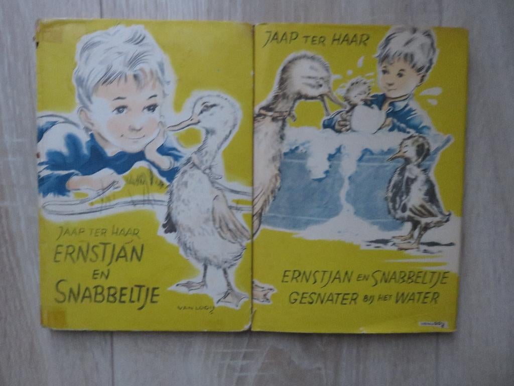 ERNSTJAN EN SNABBELTJE - JAAP TER HAAR, Ophalen of Verzenden, Zo goed als nieuw, Jaap ter Haar