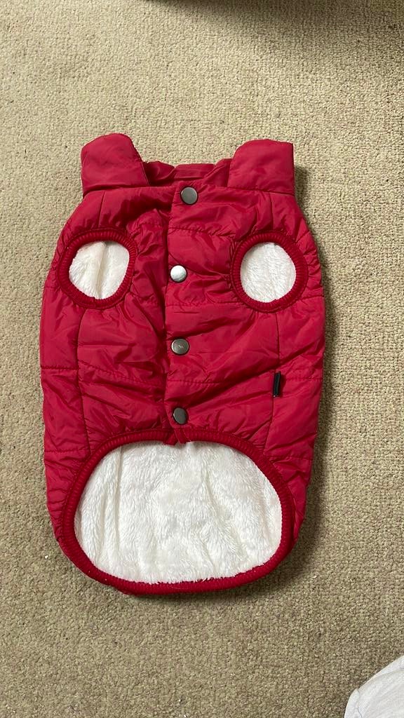 Nieuw hondenjasje, Ophalen of Verzenden, Nieuw, Hondenjas