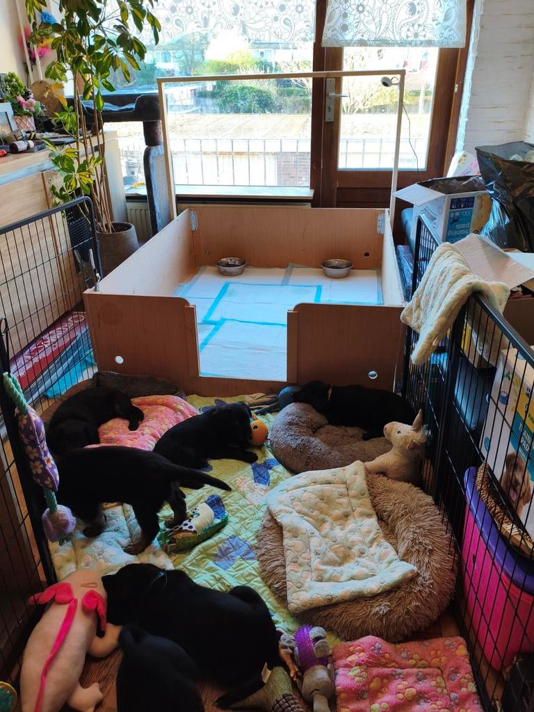 Werp kist groot., Ophalen of Verzenden, 110 cm of meer, 65 tot 100 cm