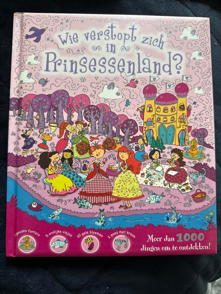 Wie verstopt zich in Prinsessenland? Zoekboek, Boeken, Ophalen of Verzenden, Zo goed als nieuw, Sprookjes
